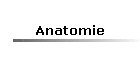 Anatomie