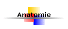 Anatomie